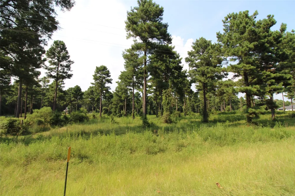 3559 Parish Line Road Doyline, LA 71023