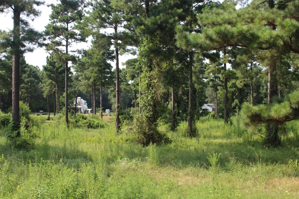 3559 Parish Line Road Doyline, LA 71023