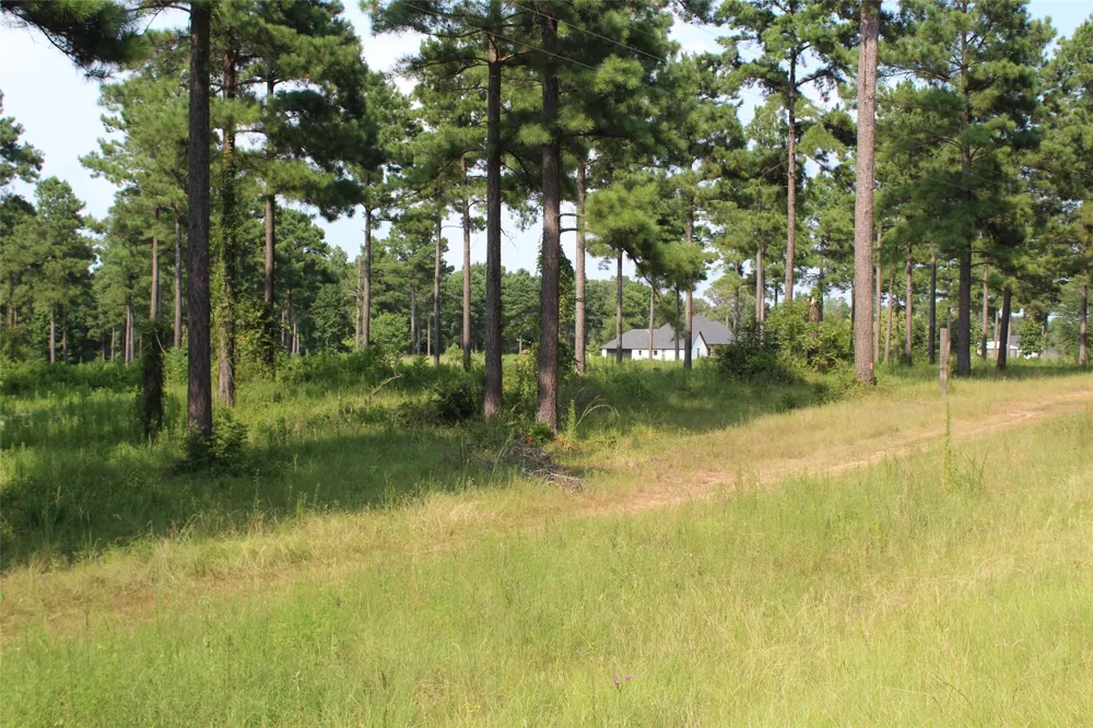 3559 Parish Line Road Doyline, LA 71023