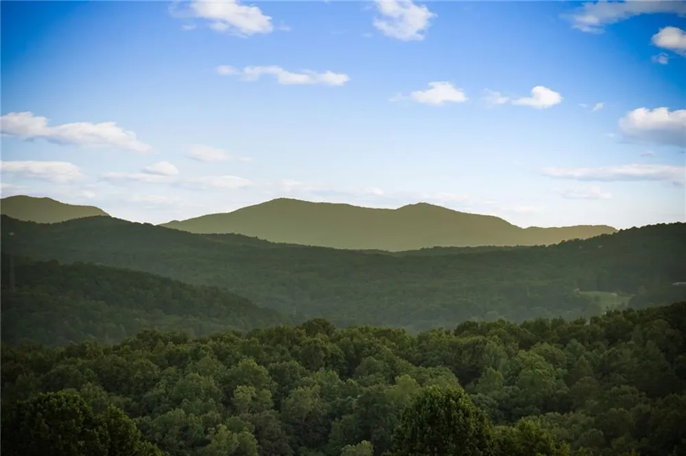 261 Big Valley Drive Morganton, GA 30513