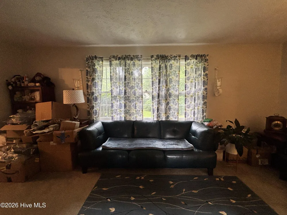 22581 Hoyl Circle Maxton, NC 28364