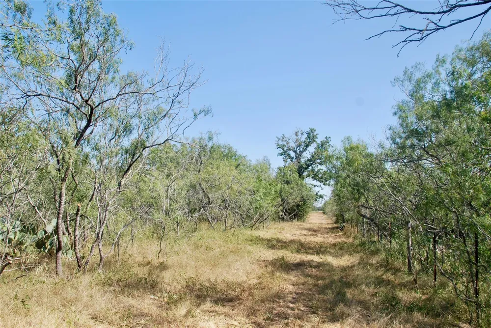Cr 426 Waelder, TX 78959