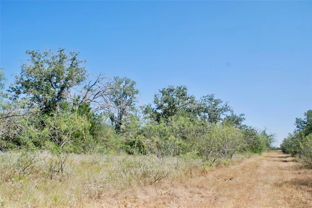 Cr 426 Waelder, TX 78959