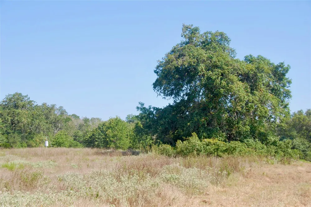 Cr 426 Waelder, TX 78959