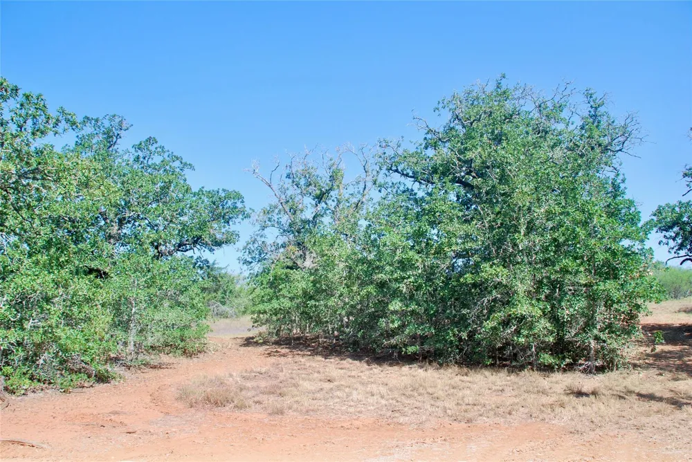 Cr 426 Waelder, TX 78959