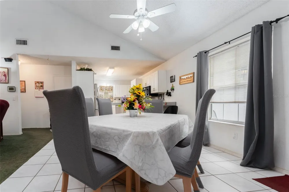 15370 APACHE DRIVE Thonotosassa, FL 33592