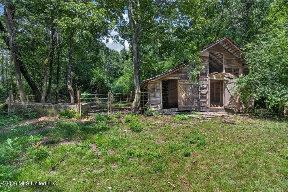 87 Dinan Church Road Tylertown, MS 39667
