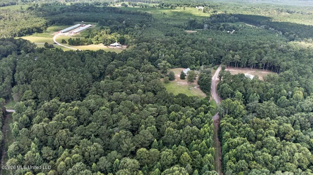 87 Dinan Church Road Tylertown, MS 39667