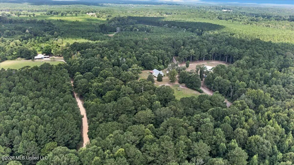 87 Dinan Church Road Tylertown, MS 39667