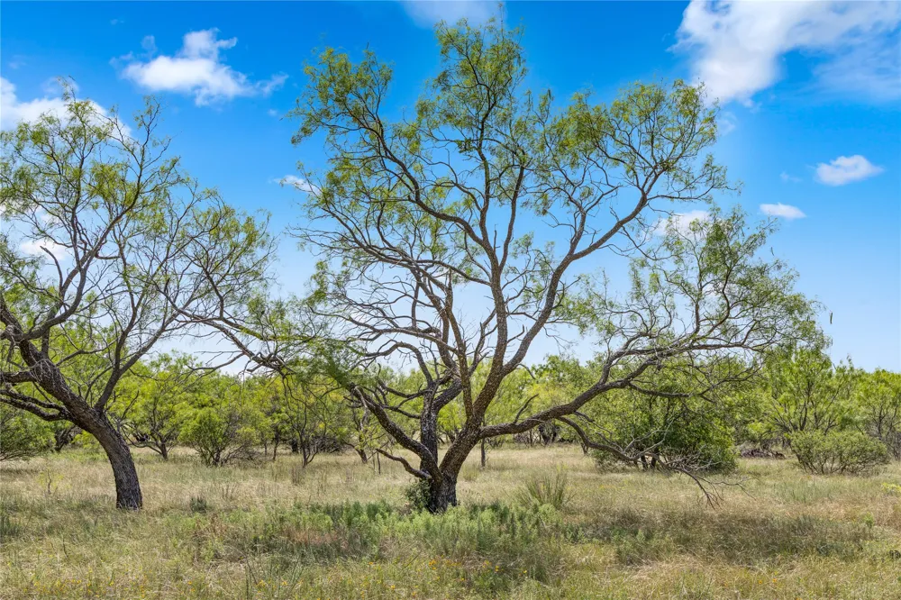 FM 604 ROAD Clyde, TX 79510