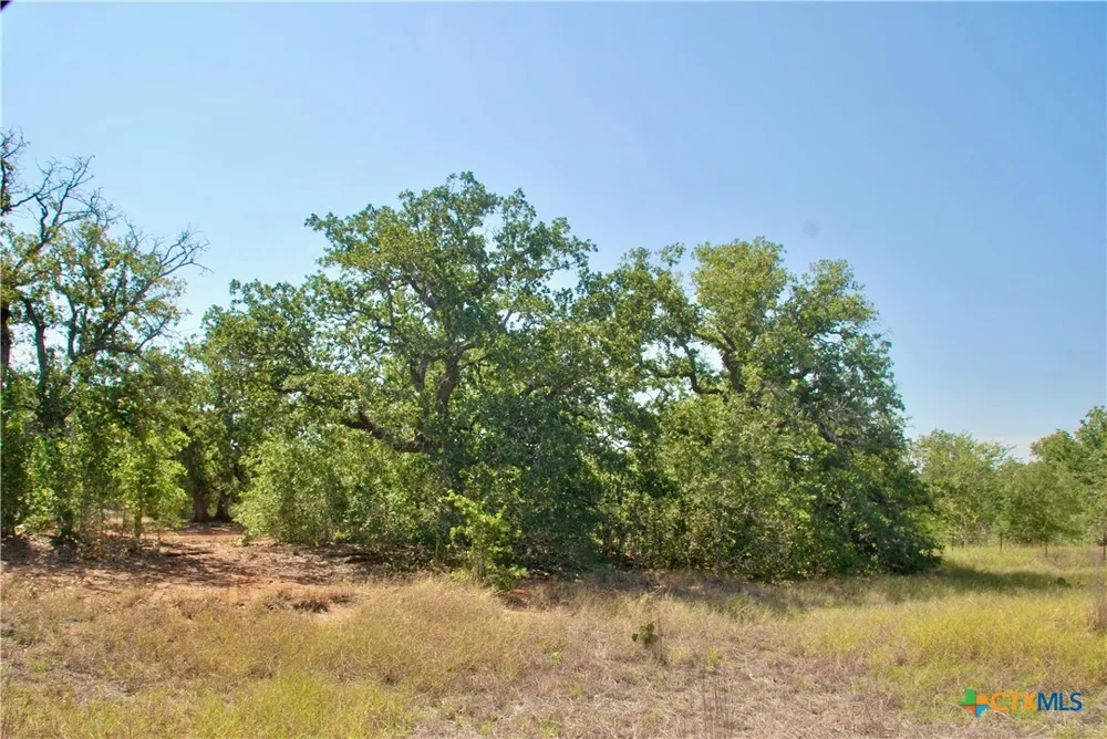 CR 426 Waelder, TX 78959