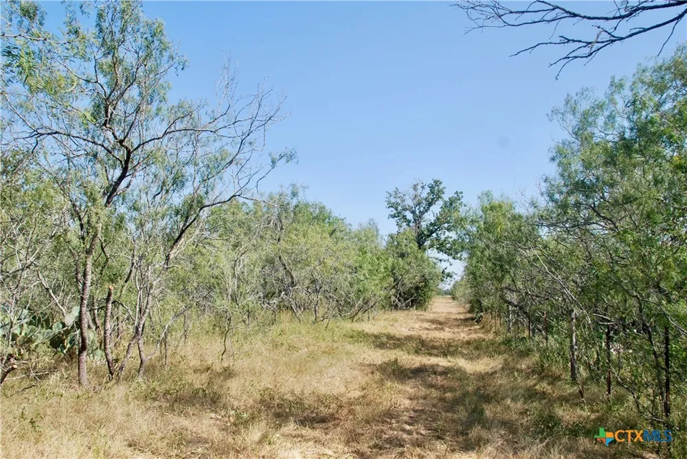 CR 426 Waelder, TX 78959