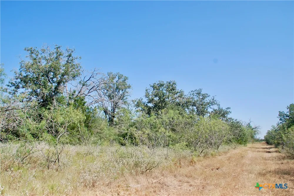 CR 426 Waelder, TX 78959