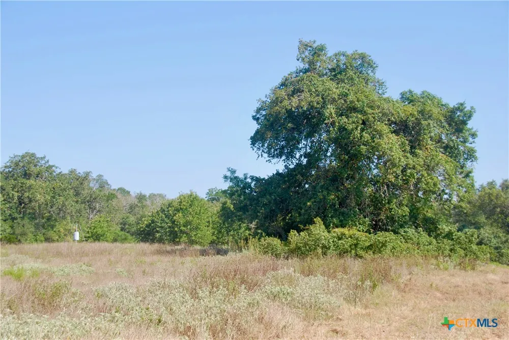 CR 426 Waelder, TX 78959