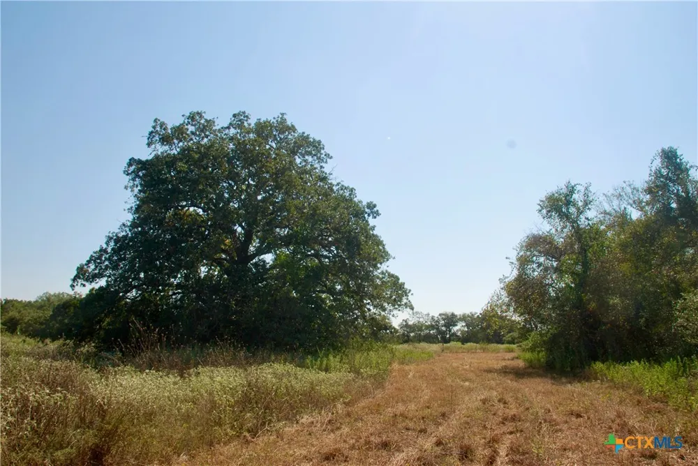 CR 426 Waelder, TX 78959
