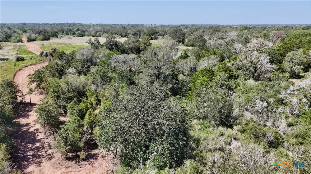 CR 426 Waelder, TX 78959