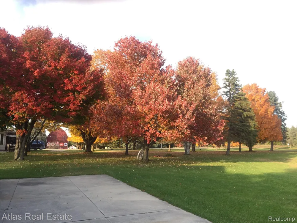 12026 Coolidge Road Atlas Township, MI 48438