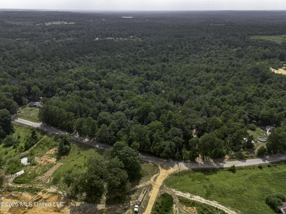 S Main Street Mendenhall, MS 39114