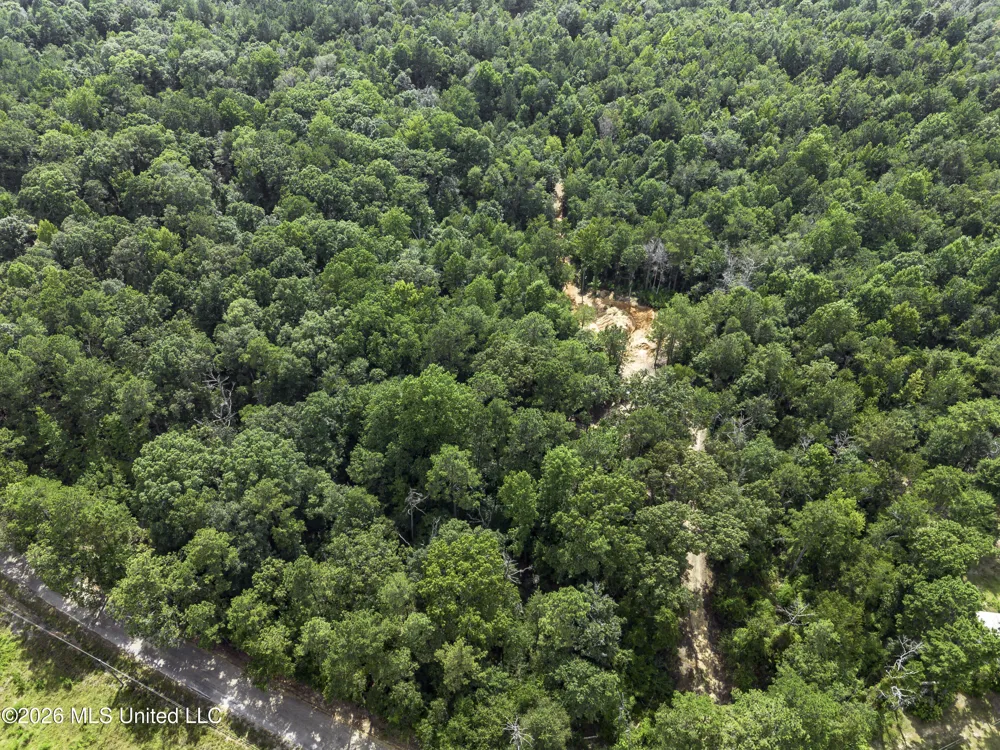 S Main Street Mendenhall, MS 39114