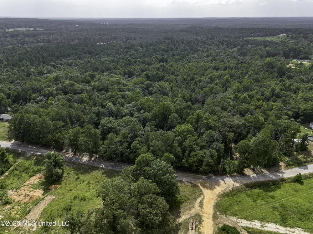 S Main Street Mendenhall, MS 39114