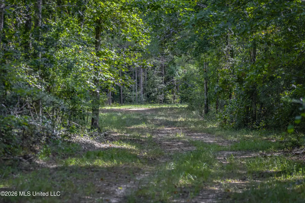 S Main Street Mendenhall, MS 39114
