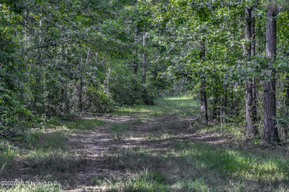 S Main Street Mendenhall, MS 39114