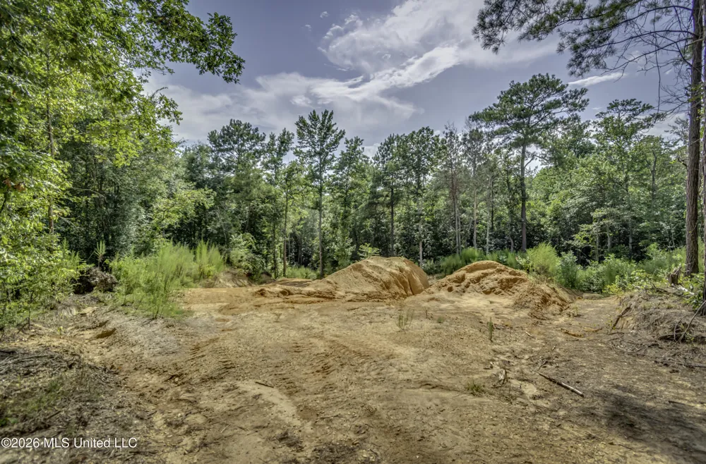 S Main Street Mendenhall, MS 39114