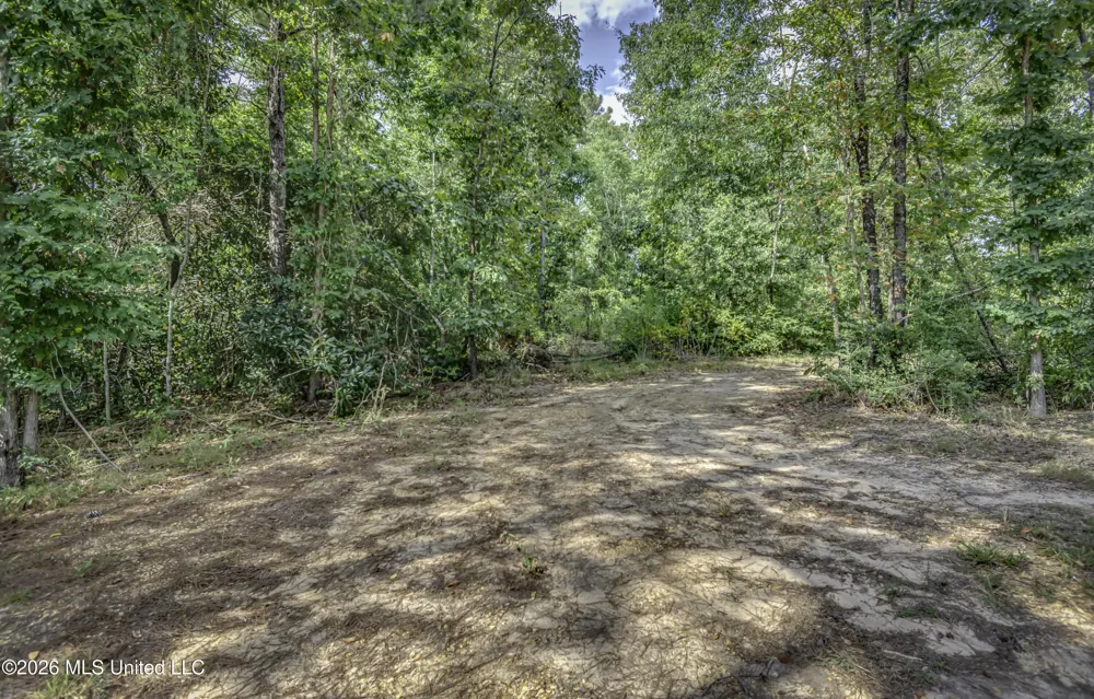 S Main Street Mendenhall, MS 39114