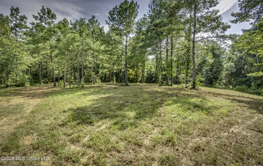 S Main Street Mendenhall, MS 39114