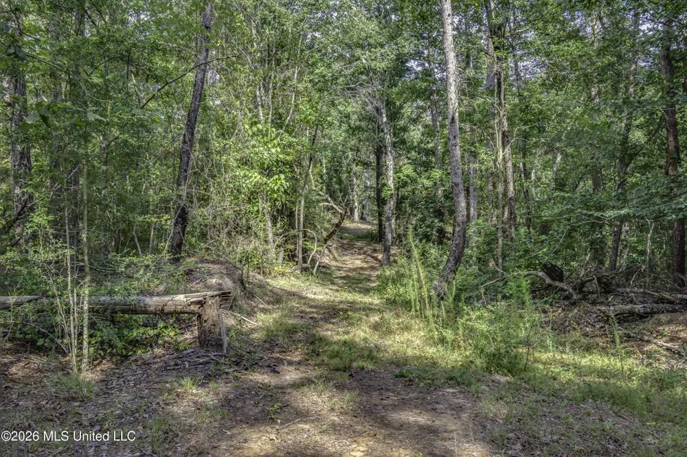 S Main Street Mendenhall, MS 39114
