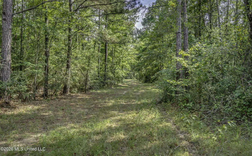 S Main Street Mendenhall, MS 39114