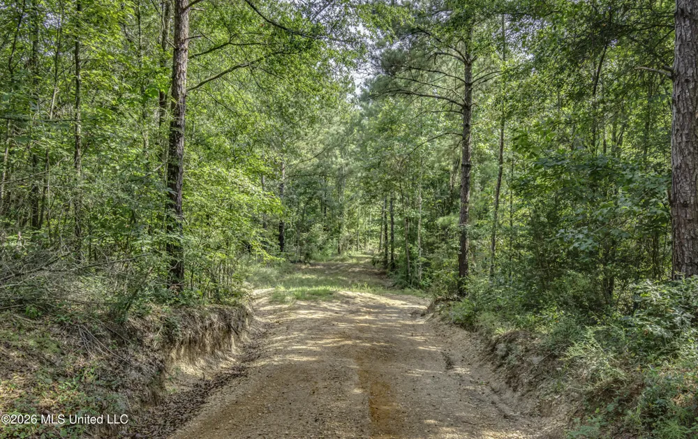 S Main Street Mendenhall, MS 39114