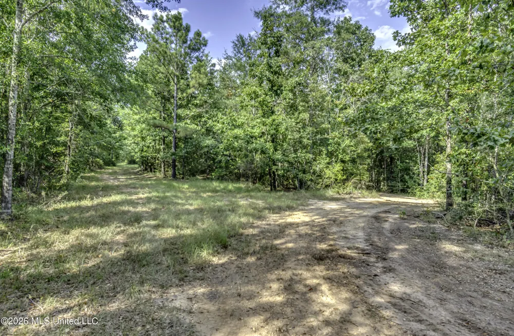 S Main Street Mendenhall, MS 39114