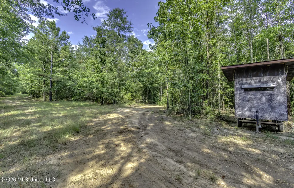S Main Street Mendenhall, MS 39114