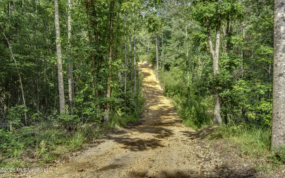 S Main Street Mendenhall, MS 39114