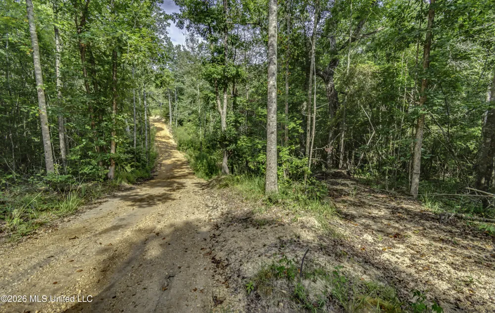 S Main Street Mendenhall, MS 39114