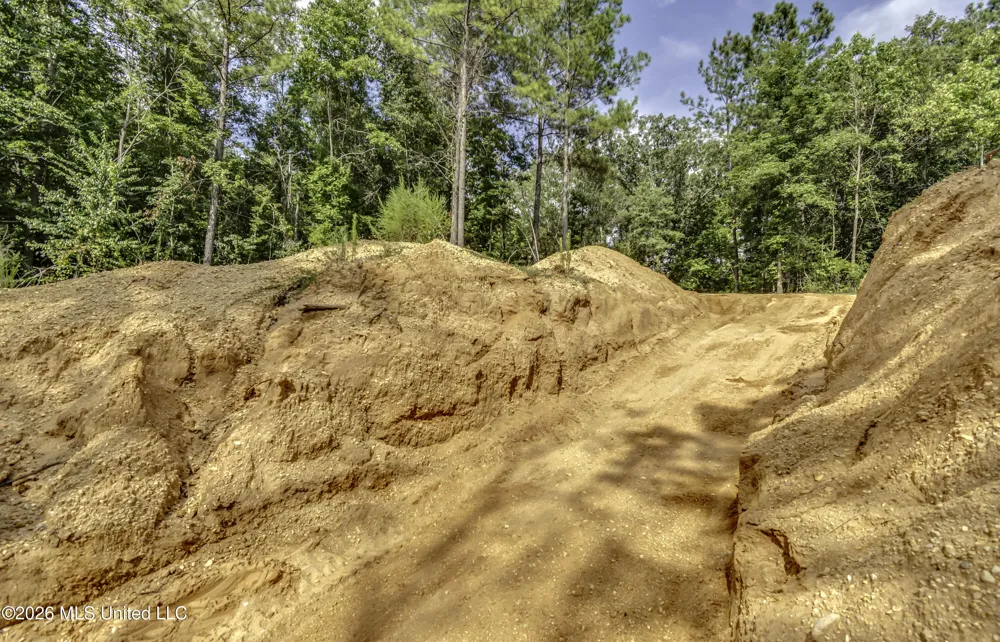 S Main Street Mendenhall, MS 39114