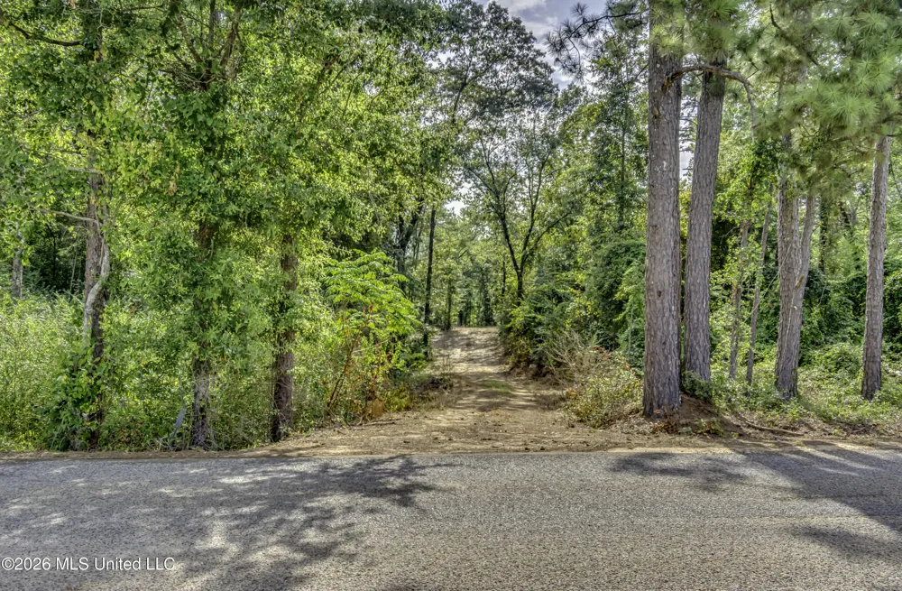 S Main Street Mendenhall, MS 39114