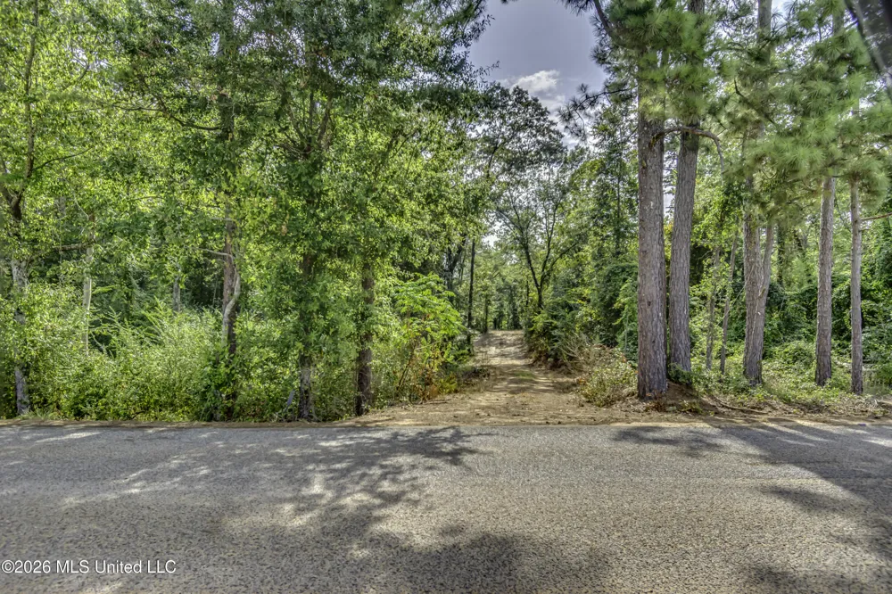 S Main Street Mendenhall, MS 39114