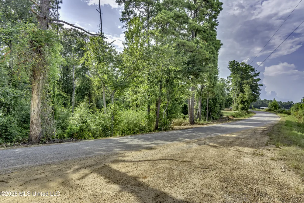 S Main Street Mendenhall, MS 39114