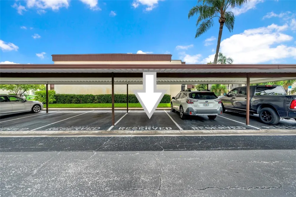 2400 WINDING CREEK BOULEVARD #17-203 Clearwater, FL 33761