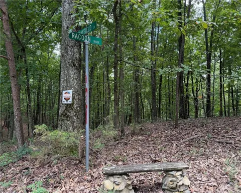 LOT 10 Mayfield Lane