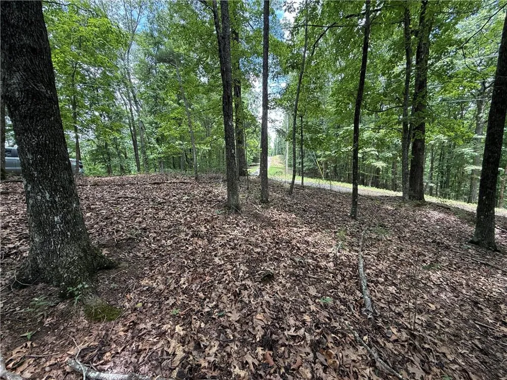 LOT 10 Mayfield Lane Ranger, GA 30734