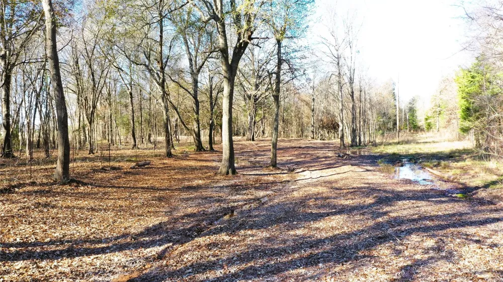 TBD Red River Arthur City, TX 75411