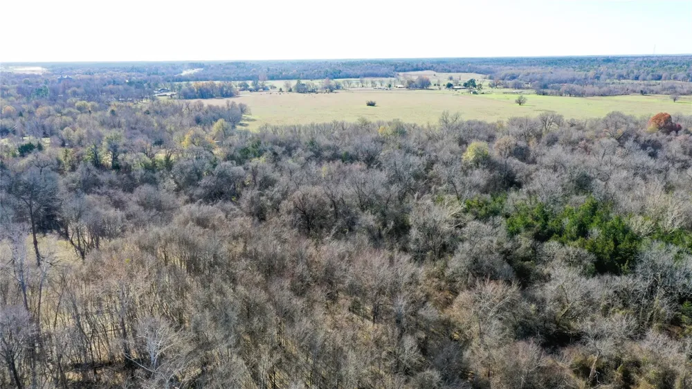 TBD Red River Arthur City, TX 75411