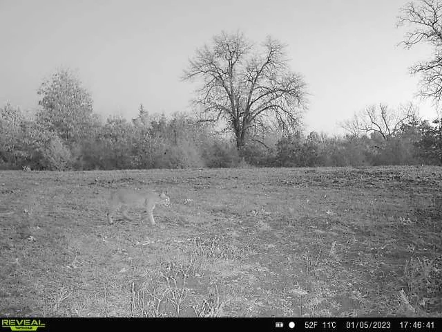 TBD Red River Arthur City, TX 75411