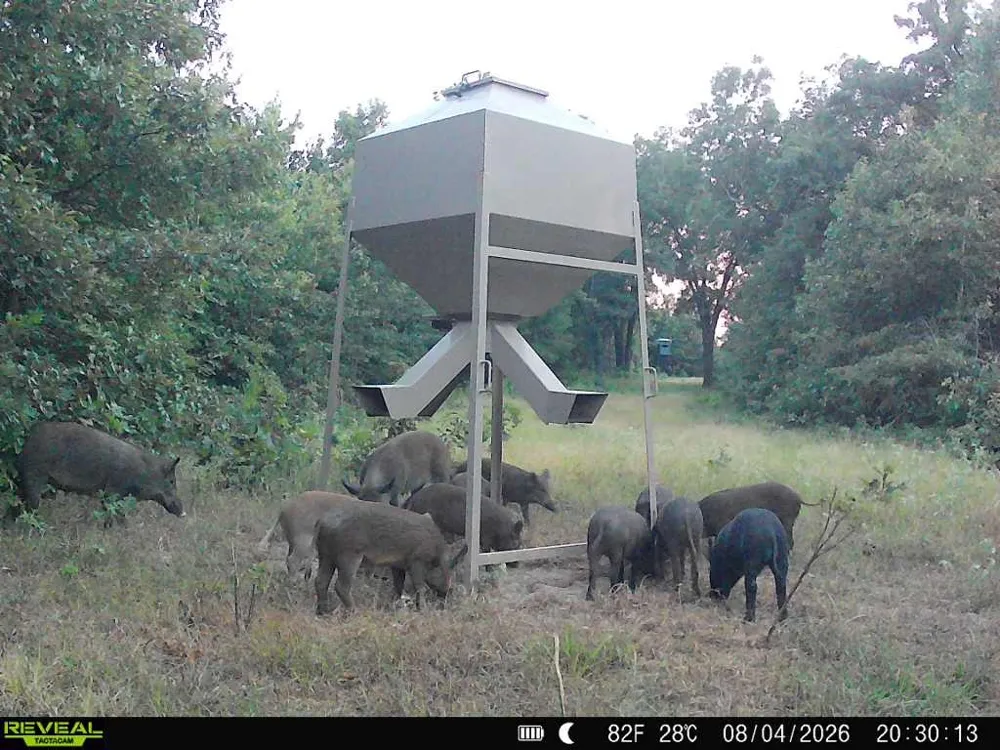 TBD Red River Arthur City, TX 75411