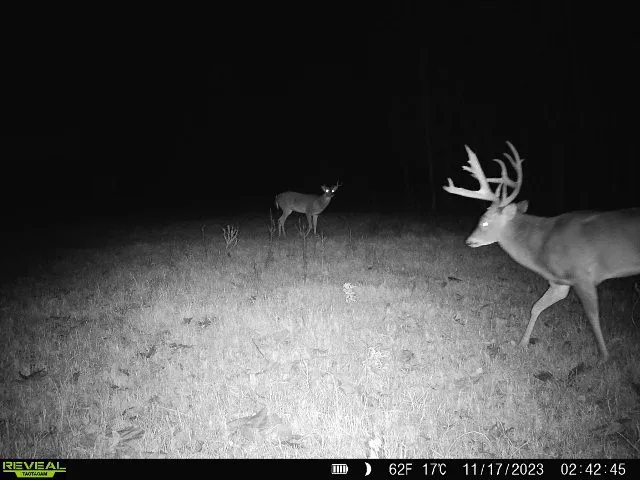 TBD Red River Arthur City, TX 75411
