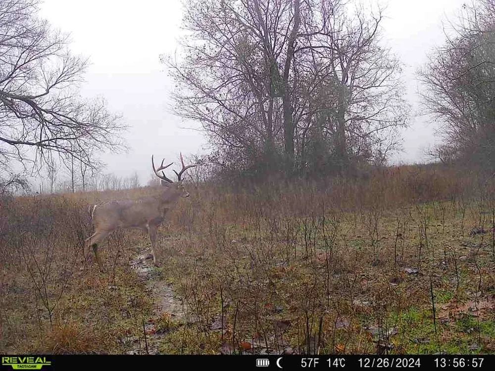 TBD Red River Arthur City, TX 75411