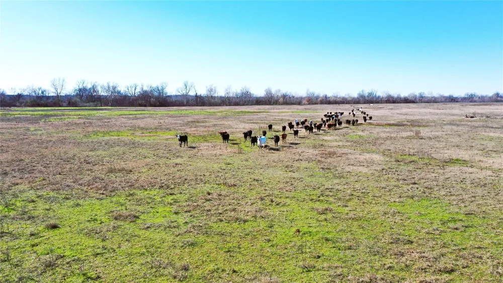 TBD Red River Arthur City, TX 75411